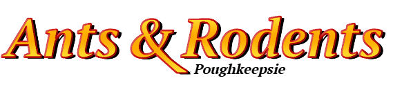 Poughkeepsie Ant Exterminator & Rodent Control Company Logo